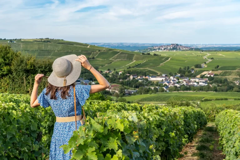 © Philippe ARMANET - Vignes de Bué